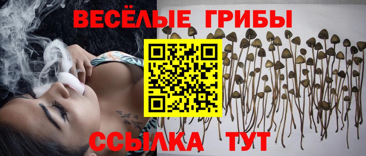 Мегион  Псилоцибиновые грибы Magic Shrooms  Вход с VPN 
